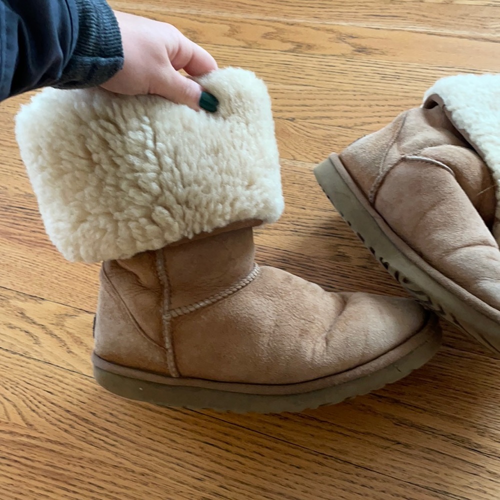 Tall chestnut uggs